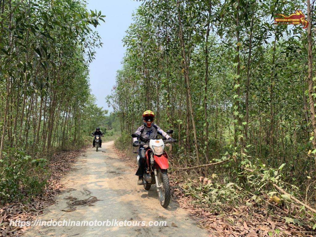 HUE MOTORBIKE TOUR TO HOI AN VIA HO CHI MINH TRAIL OR HAI VAN PASS How Much Does a 10-Day Motorbike Tour in Vietnam Cost roughly?