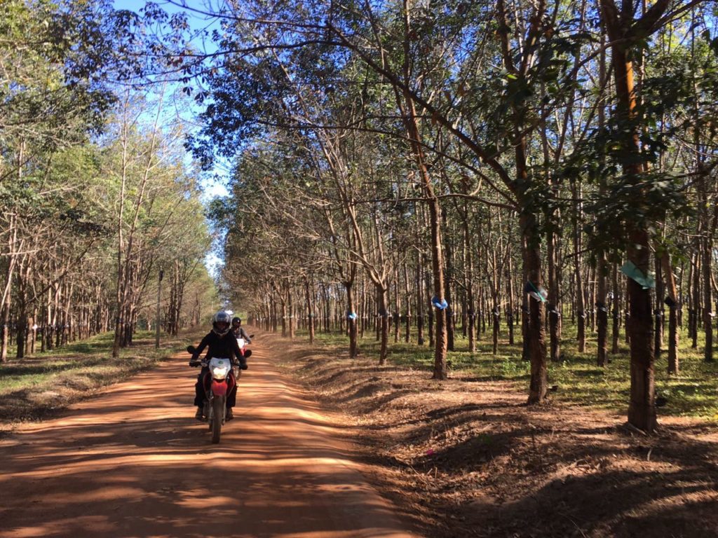 Vietnam Motorbike Tours to Mekong Delta & Da Lat, Bao Loc, Lam Dong: HO CHI MINH CITY MOTORCYCLE TOURS TO BAO LOC – LAM DONG - DA LAT Vietnam Motorbike Tours to Mekong Delta & Da Lat, Bao Loc, Lam Dong: HO CHI MINH CITY MOTORCYCLE TOURS TO BAO LOC – LAM DONG - DA LAT