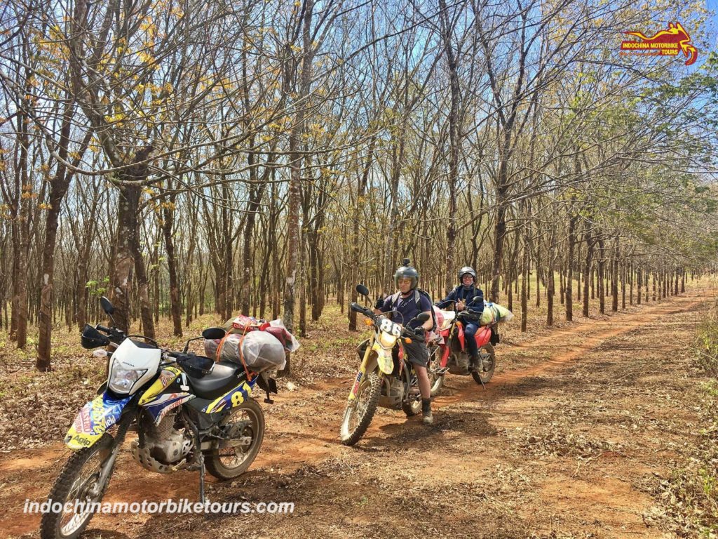 NHA TRANG LOOP MOTORBIKE TOUR TO DA LAT AND BUON MA THUOT Lak Lake motorbike tour to Buon Me Thuot 1 NHA TRANG LOOP MOTORBIKE TOUR TO DA LAT AND BUON MA THUOT