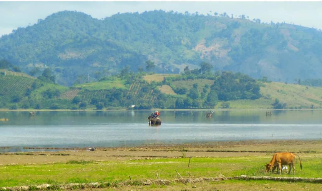 Mui Ne Motorbike Tour to Da Lat, Lak Lake and Nha Trang: Da Lat motorcycle tour to Lak Lake Mui Ne Motorbike Tour to Da Lat, Lak Lake and Nha Trang: Da Lat motorcycle tour to Lak Lake