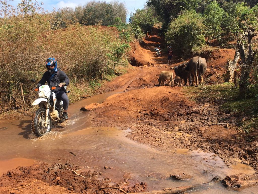 Scenic Hoi An Motorcycle Tour to Nha Trang via Ho Chi Minh trails Vietnam Motorbike Tour from Hoi An to Nha Trang via Central Highlands