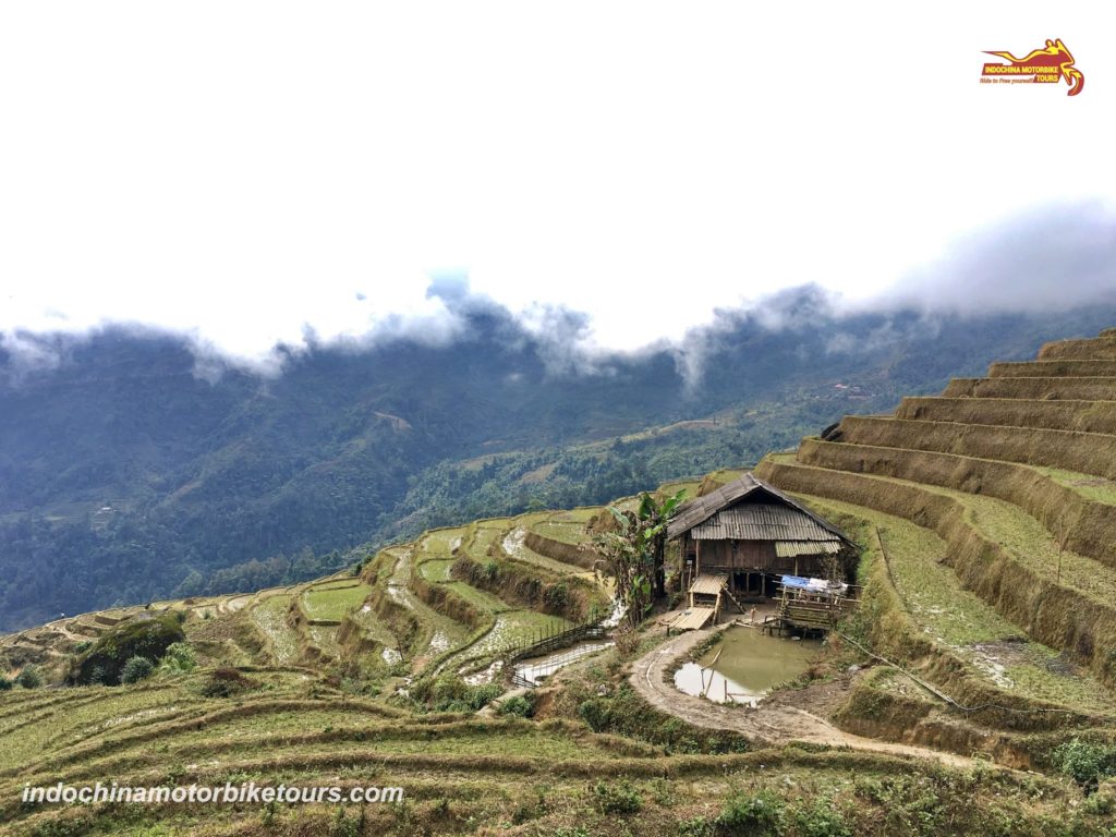 Sapa Motorbike Tour to Villages Sapa Motorbike Tour to Villages