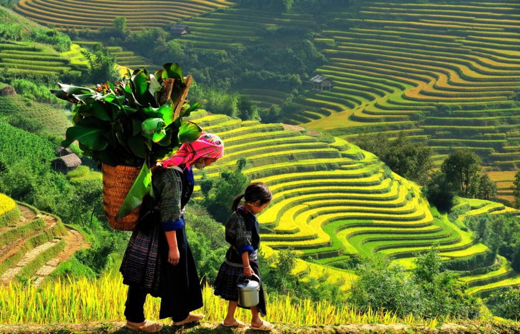 Exceptional Sapa Motorbike Tour Plus Homestay to Villages from Hanoi by Overnight Bus Sapa Motorbike Tour Plus Homestay to Villages from Hanoi by Overnight Bus