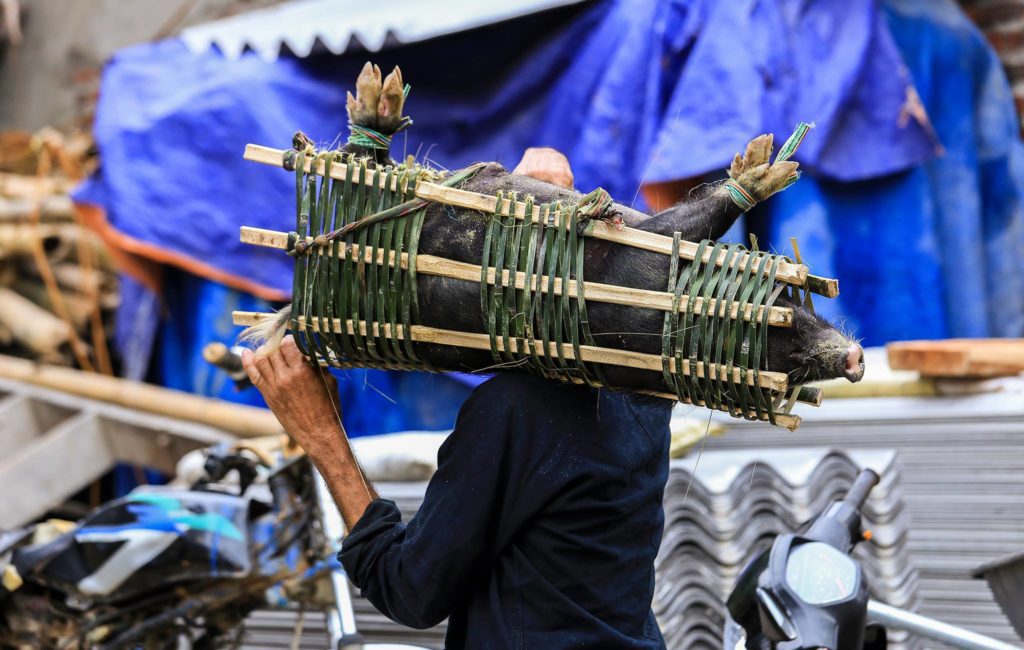 What Local Authentic Markets to Explore In Ha Giang? 12095075 783632495116739 3034669570327716799 o What Local Authentic Markets to Explore In Ha Giang?