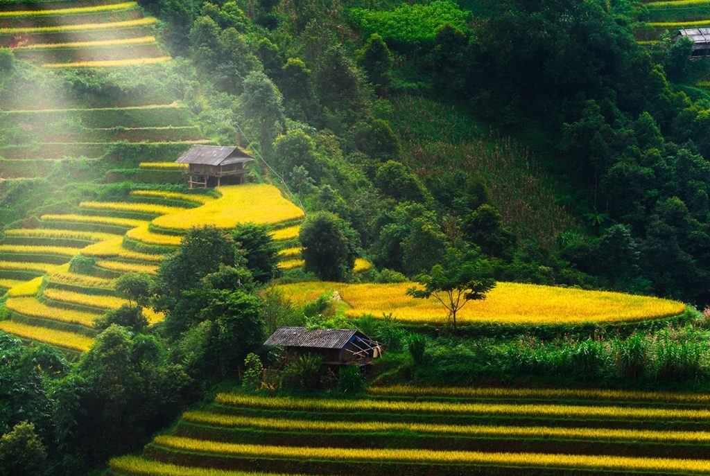 182753392 3950395638414010 6800912573804937596 n When is the best time to visit Hoang Su Phi, Ha Giang?