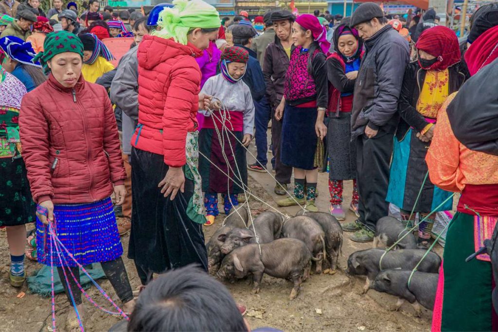What To See While Riding Motorcycles in Ha Giang What To See While Riding Motorcycles in Ha Giang