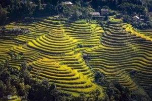 Hoang Su Phi When is the best time to visit Hoang Su Phi, Ha Giang?