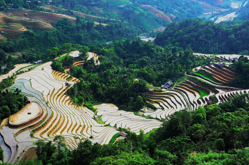 When is the best time to join a motorbike tour in Ha Giang? Best time to ride motorbike tour in Ha Giang