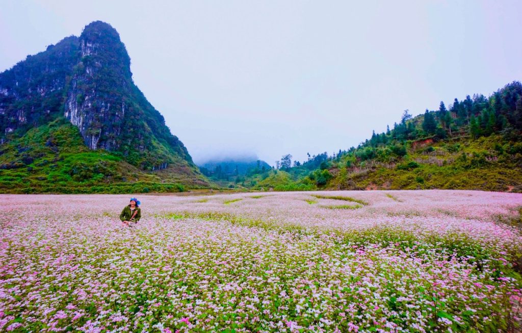 TOP 10 BEST ATTRACTIONS TO SEE WHILE RIDING MOTORCYCLES IN HA GIANG Top 10 best attractions to see while riding motorcycles in Ha Giang