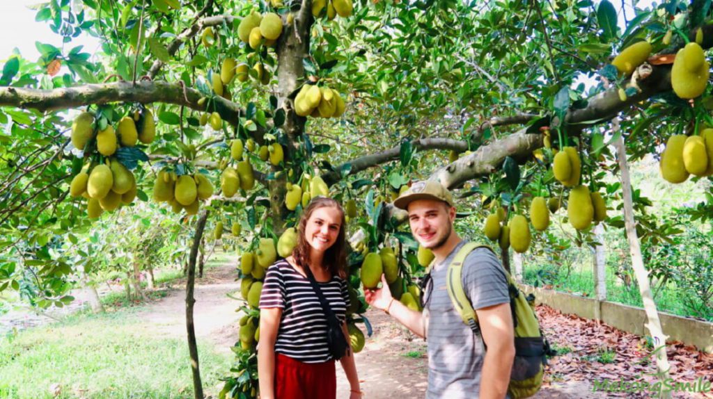 Top 8 Best Things You must do in Mekong Delta of Vietnam Top 10 Best Things You must do in Mekong Delta of Vietnam