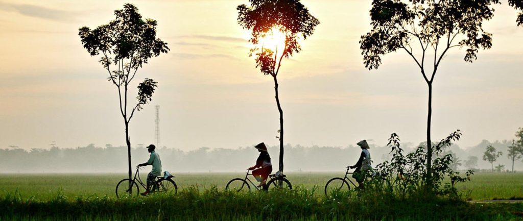 Top 8 Best Things You must do in Mekong Delta of Vietnam Top 10 Best Things You must do in Mekong Delta of Vietnam