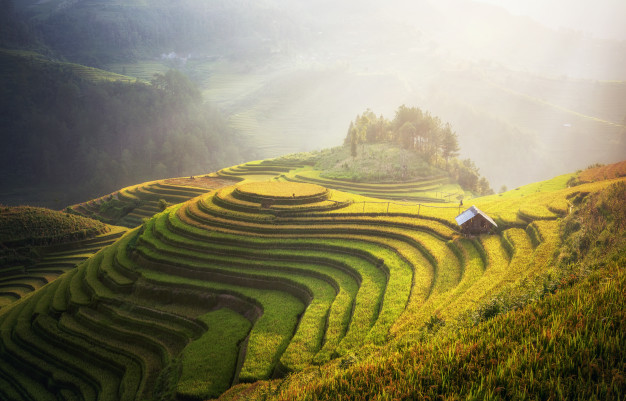 10 REASONS WHY YOU SHOULD TAKE A MOTORBIKE TOUR IN VIETNAM, LAOS, CAMBODIA 10 REASONS WHY YOU SHOULD TAKE A MOTORBIKE TOUR IN VIETNAM, LAOS, CAMBODIA