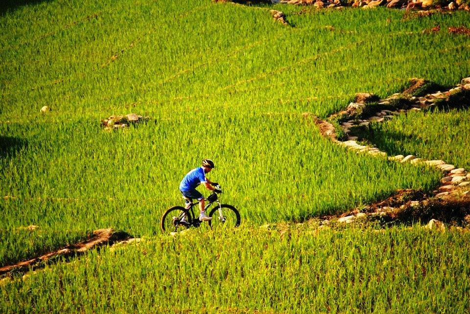 When is the Best Time To join a motorbike tour to Sapa? When is the Best Time To join a motorbike tour to Sapa?