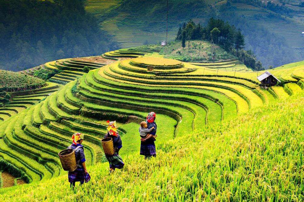 BEST EVER SAPA MOTORBIKE TOUR TO HA GIANG - 5 Days Sapa Motorbike Tour to Ha Giang via Hoang Su Phi, Ta Phin, Dong Van