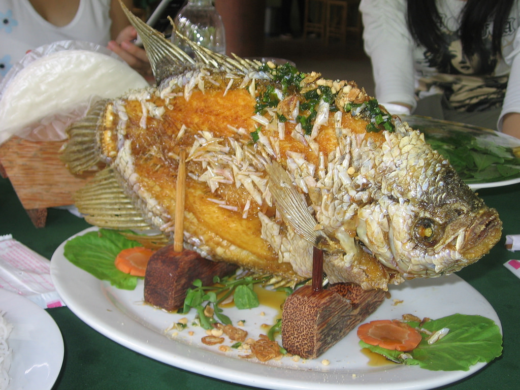 Top 9 Best Foods in Mekong Delta of Vietnam You Must Try top 8 food you should try in mekong delta when you come here fried here elephant ear fish Top 9 Best Foods in Mekong Delta of Vietnam You Must Try