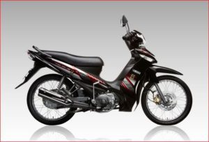 Prices for Vietnam Motorbike Tours and Bike Rental's Services Yamaha taurus Prices for Vietnam Motorbike Tours and Bike Rental's Services