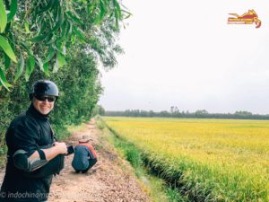 Saigon Motorbike Tours to Mekong Delta 12 Why Should People Ride Motorbike To Mekong Delta Of Vietnam?