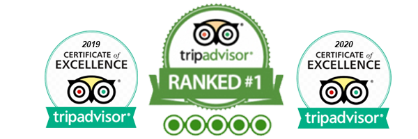 Tripadvisor Certificate