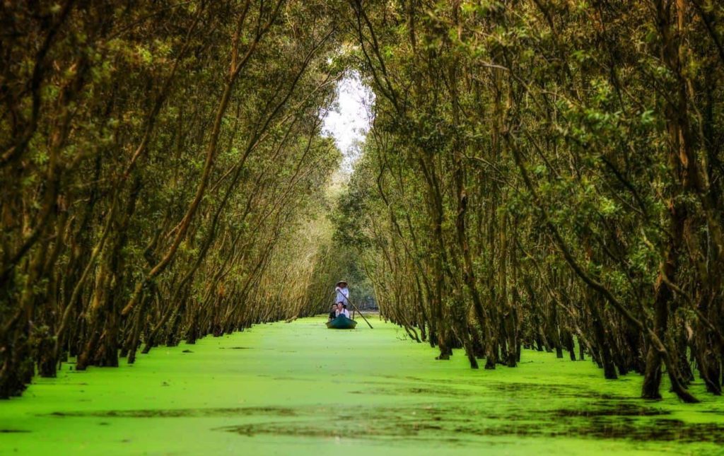 Best Highlights of Vietnam Motorbike Tour to Mekong Delta