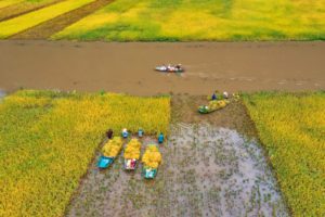 Ninh Binh Tam Coc 4 Top 6 Reasons to do a loop motorbike tour from Hanoi to Halong Bay then Ninh Binh
