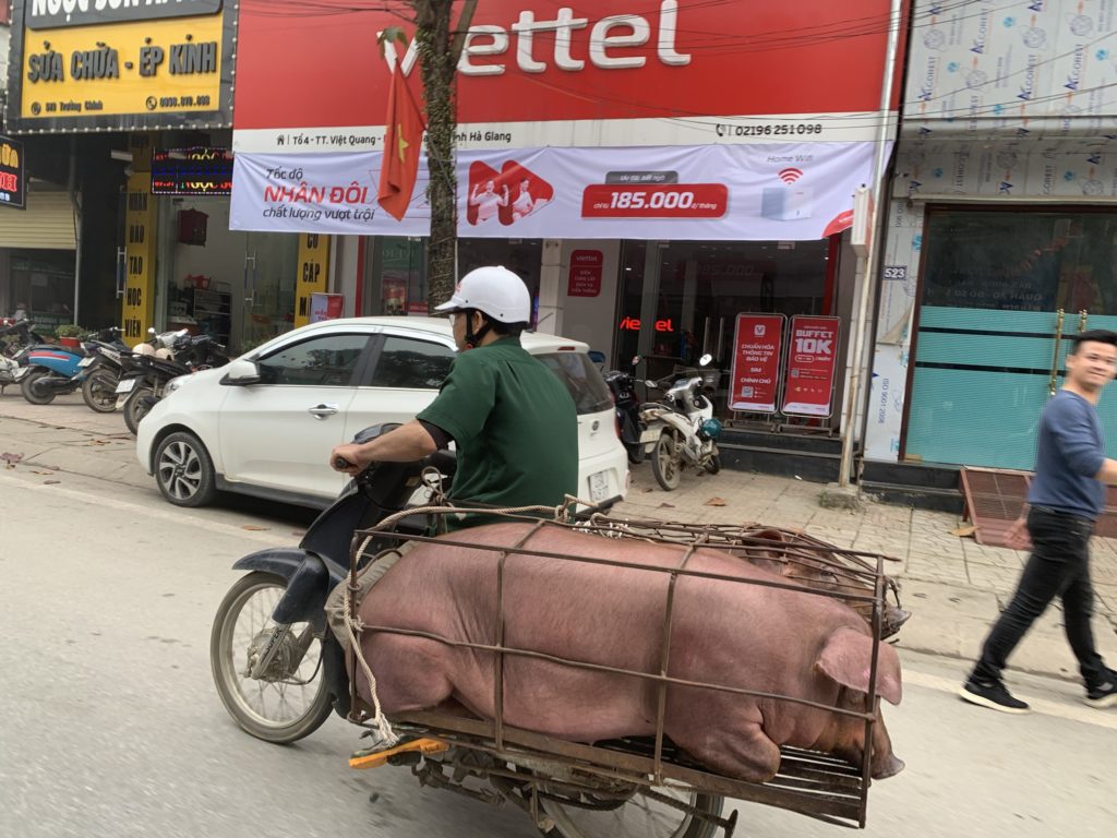 How to Ride Your Vietnam Motorbike Tour Safely? How to Ride Your Vietnam Motorbike Tour Safely?