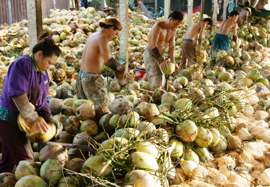 What To See In Mekong Delta When Riding Motorcycles? What To See In Mekong Delta When Riding Motorcycles?