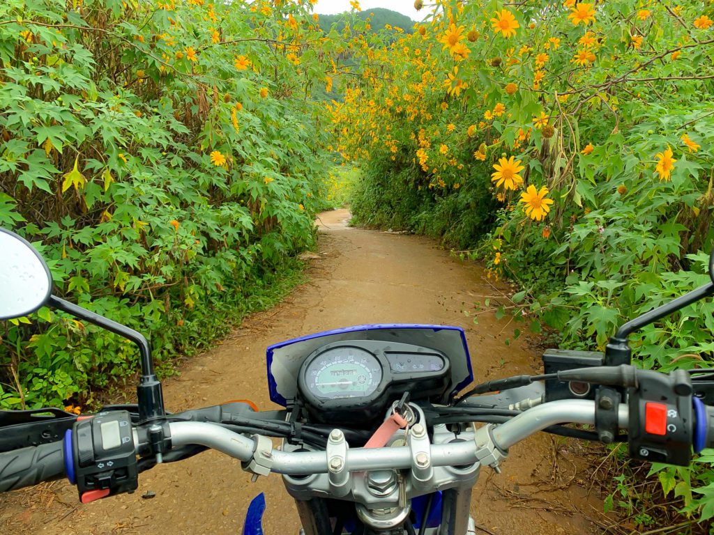 The Best Time to Ride Motorcycles from Da Lat to Nha Trang and Mui Ne The Best Time to Ride Motorcycles from Da Lat to Nha Trang and Mui Ne