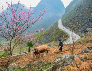 Ha giang Why Should We Ride Motorbikes to Du Gia in Ha Giang?