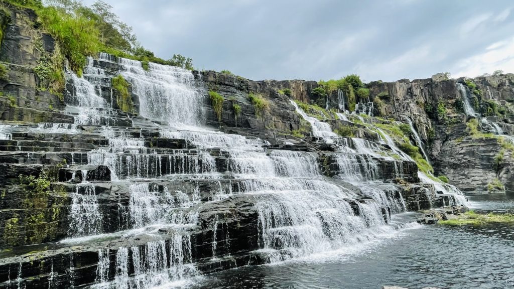 Why Saigon Motorbike Tour to Da Lat via Nam Cat Tien National Park and Bao Loc is a MUST? Saigon Motorbike Tour to Da Lat via Nam Cat Tien National Park and Bao Loc