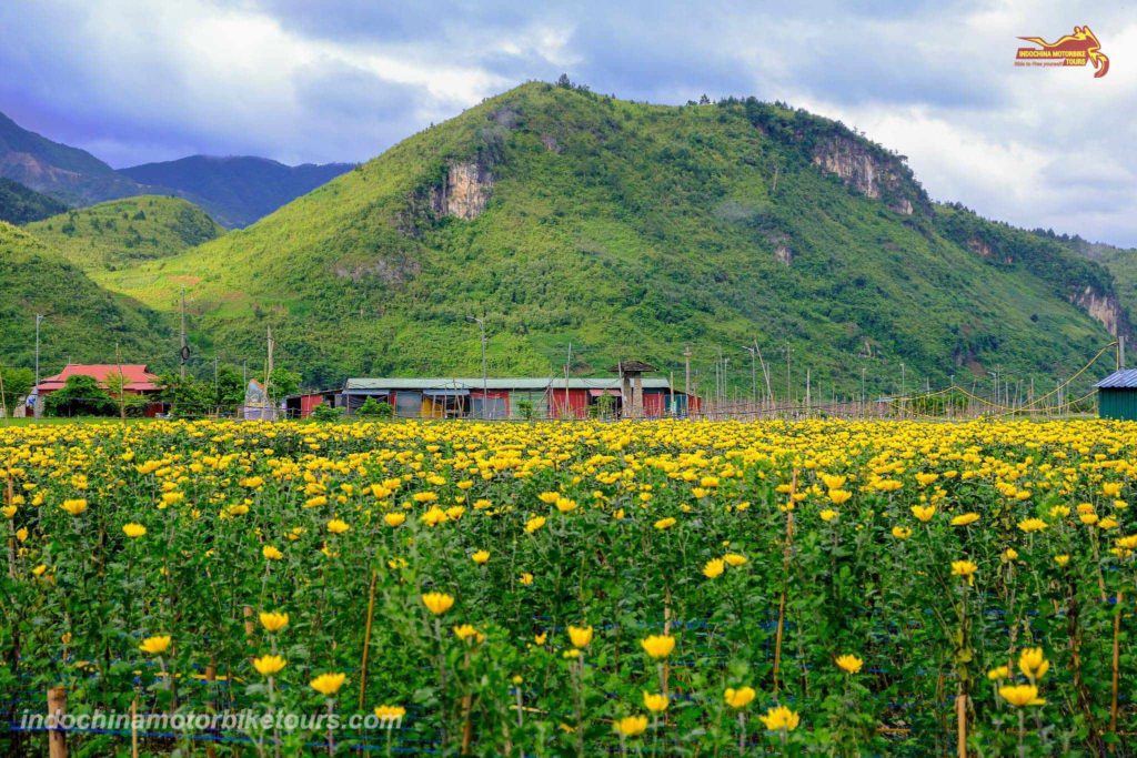 Best Time to Visit Ngoc Chien in Muong La District, Son La Province Best Time to Visit Ngoc Chien in Muong La District, Son La Province