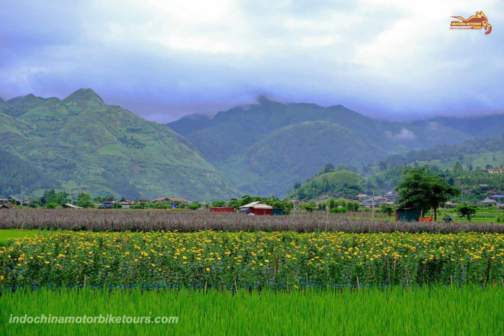 Why Riding Motorcycles from Mu Cang Chai to Ngoc Chien in Muong La District, Son La Province Why Riding Motorcycles from Mu Cang Chai to Ngoc Chien in Muong La District, Son La Province