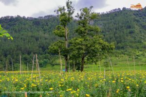 vietnam offroad motorbike tour to mu cang chai ngoc chien son la 9 Where to Stay in Ngoc Chien, Muong La District, Son La Province?