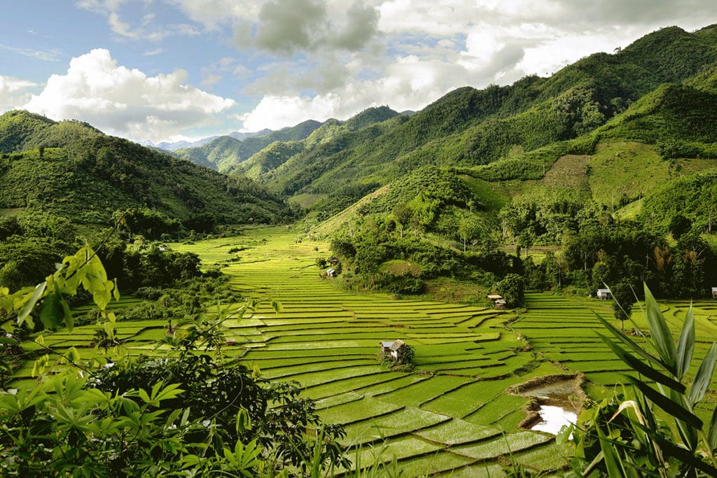 Vietnam Motorbike Tour to Laos - All you should know before you go? Muang Ngoi rice terrace Vietnam Motorbike Tour to Laos - All you should know before you go?