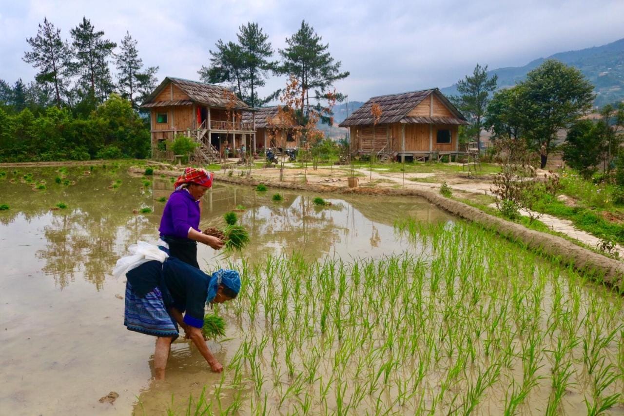 Accommodations in the Northern Vietnam - All you need to know about Homestay in Mu Cang Chai Accommodations in the Northern Vietnam - All you need to know about