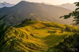 Hoang Su Phi Ha Giang 2 What’s the best time of year for a motorbike tour in Vietnam?