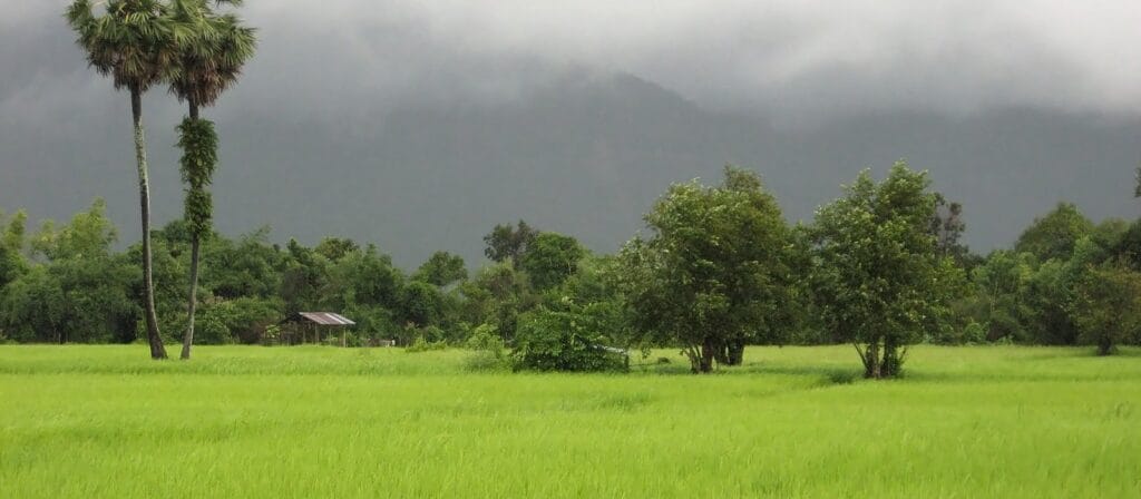 Adventurous Pakse Motorbike Loop Tours to Bolaven Plateau, Xe Pian, and Wat Phu Pakse Motorbike Tour to Tad Lo, Attapeu, Xe Pian, Champasak, Don Khong